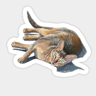 Abyssinian cat lying Sticker